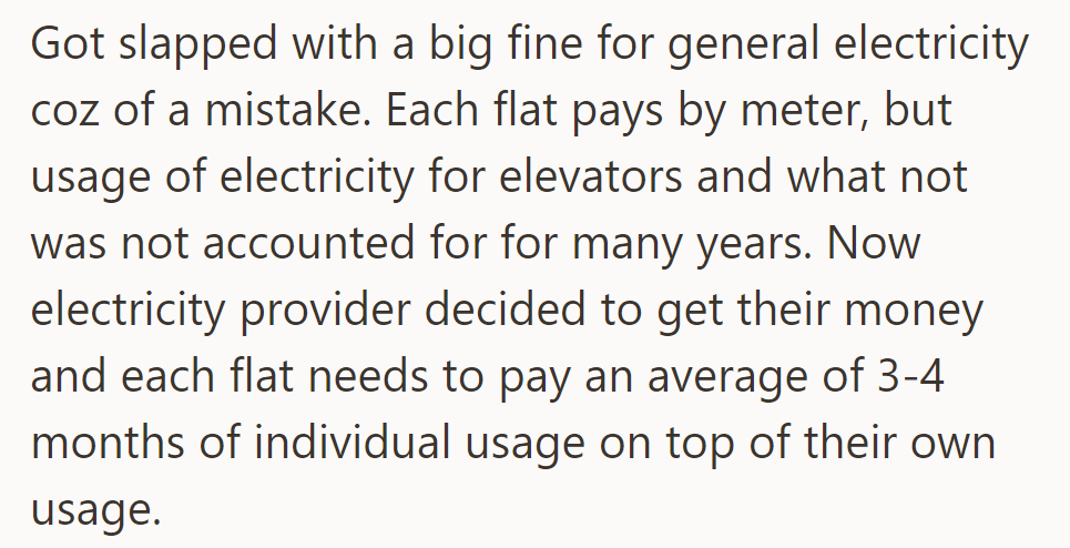OP was fined for unaccounted communal electricity usage; each flat must pay an extra 3-4 months' worth.