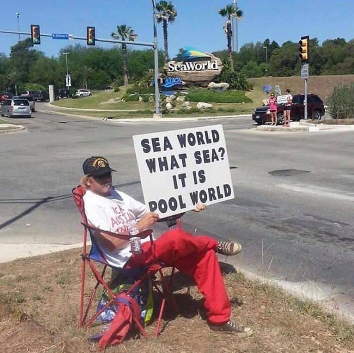 14. It is indeed the pool world.