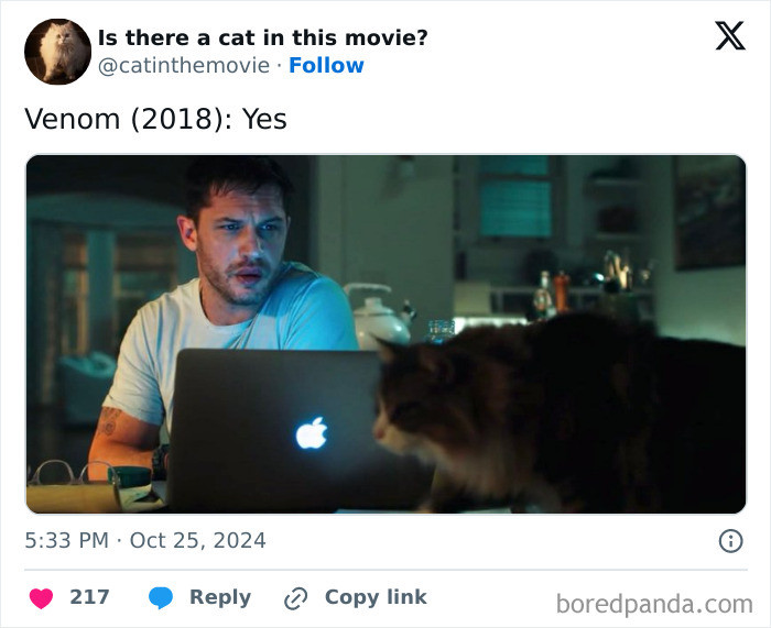 Film titles displayed, including Mistress America, Wonka, and niche cat-movie theme