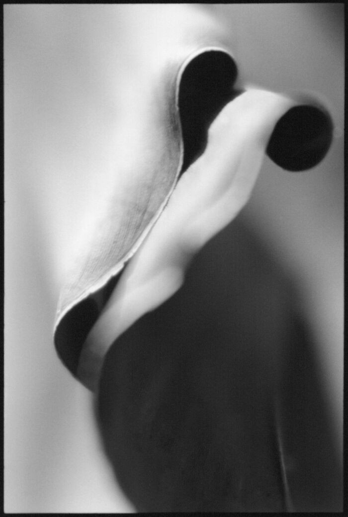 Lyrics By Oran Greier, Germany