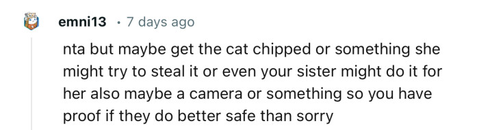 “Get her chipped. She might try to steal it, or even your sister might do it for her.”