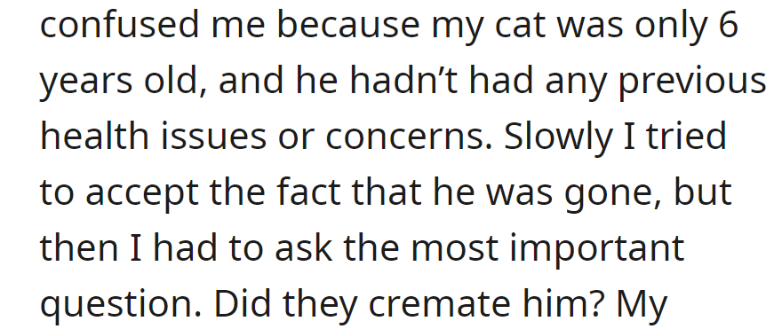 Confused by her healthy 6-year-old cat's sudden death, she reluctantly accepted it. The crucial question remained: Was he cremated?