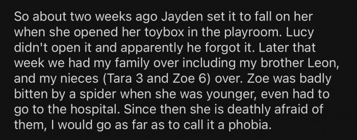 OP's niece, Zoe, had to go to the hospital once because of a spider bite.