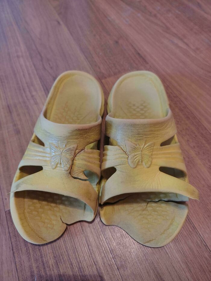"My Wife's Slippers"