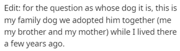 The Dog Was Adopted While OP Was Still Living with His Mom and Younger Brother