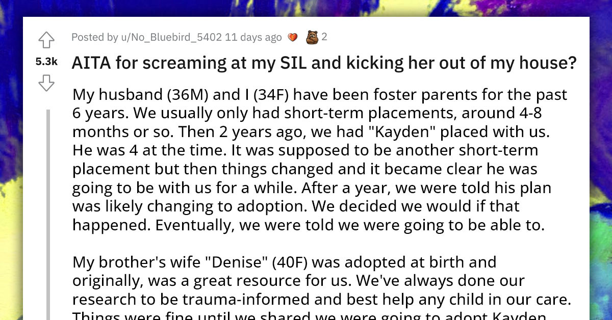 Redditors Support Woman For Kicking Her SIL Out Of Their House Over Her Insensitive Adoption Comments