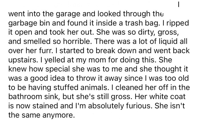 The OP looked through the garbage and found her bear covered in liquid and gunk.