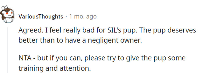 Offering some training and attention could be the 