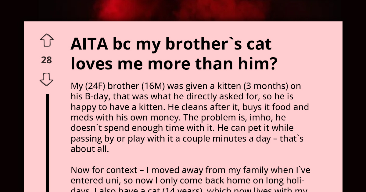 Brother Accuses Sister Of Stealing His Kitten’s Love While He Neglects It