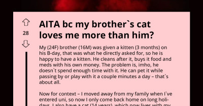 Brother Accuses Sister Of Stealing His Kitten’s Love While He Neglects It