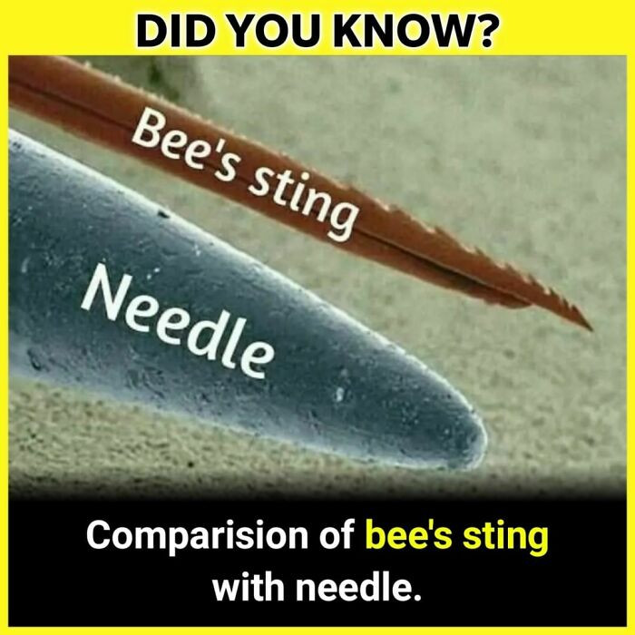 1. So small. But hurts like hell...