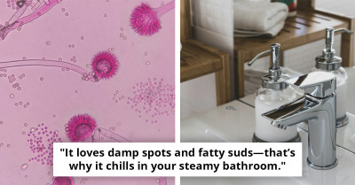 Doctor Issues Warning About Common Bathroom Bacteria You Might Be Overlooking