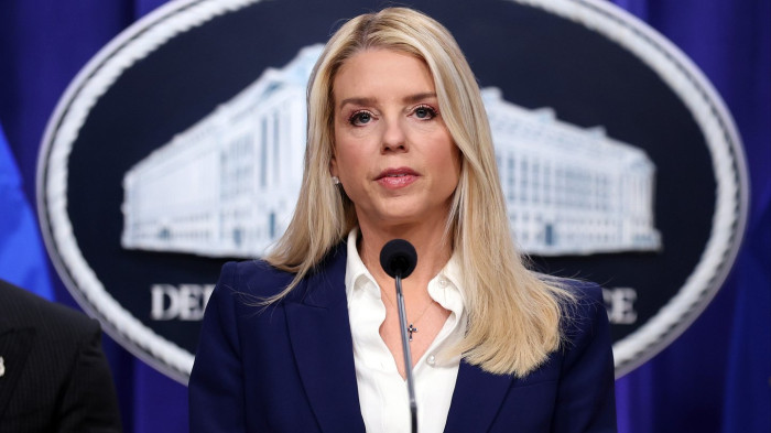 Legal case materials and notes referencing Epstein library document removal and errors