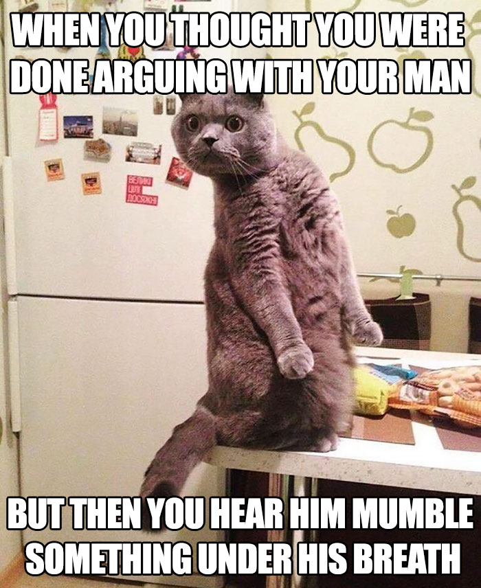 5. You said what?