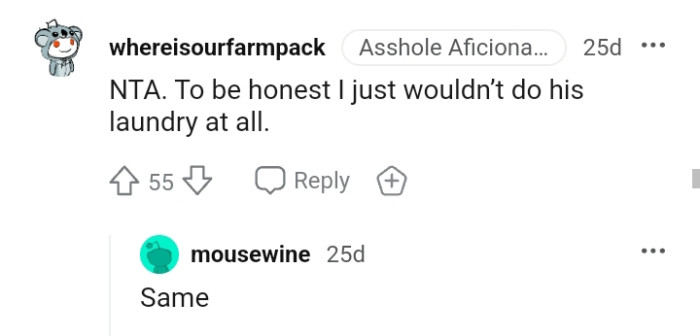 This Redditor wouldn't do his laundry at all