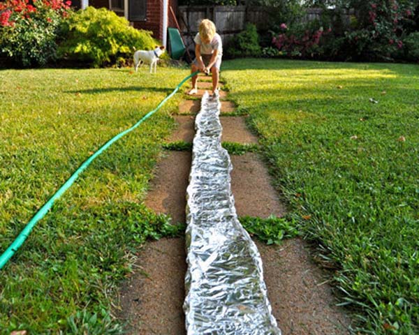 9. You can use foil to make a big river in the backyard
