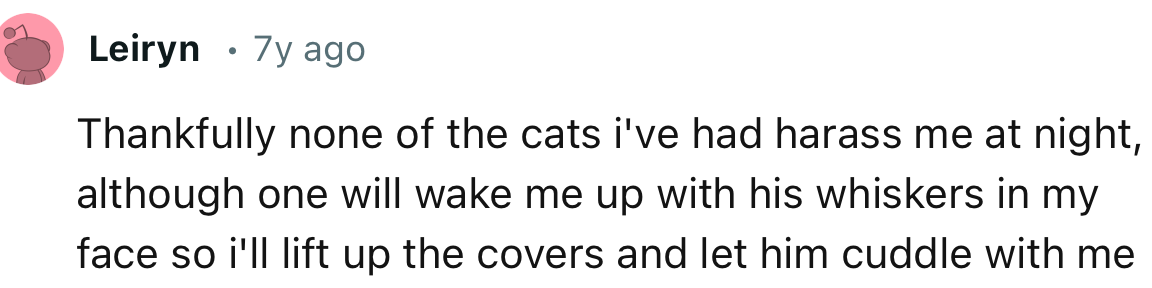 “Thankfully none of the cats I've had harass me at night.”