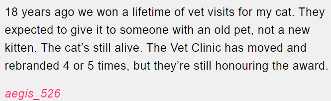 1. Vet visits.