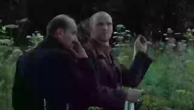 Stalker boasts a perfect 100 % score on Rotten Tomatoes’ Tomatometer.