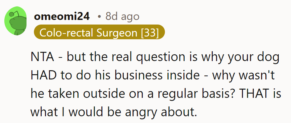 NTA. The real issue is why the dog was left to mess inside—was he not taken out?