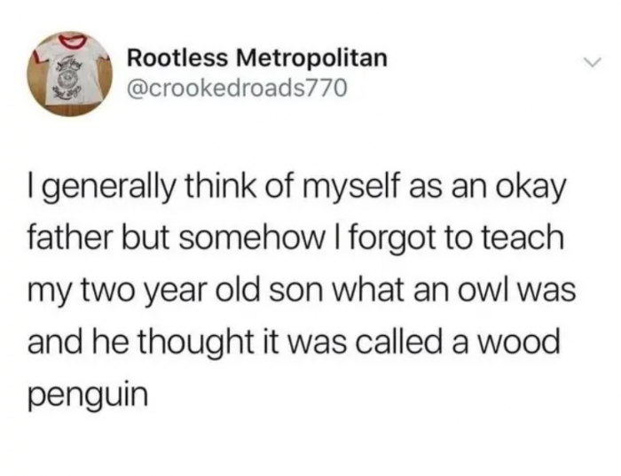 If you didn't know what a wood penguin was, a father explained: