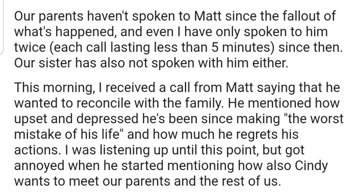 OP's Brother Seems to Have Started a New Relationship with the Woman He Cheated With