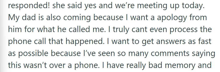 Mom agreed to meet. Dad will join for OP's apology demand; OP aims for a swift resolution due to comment confusion.