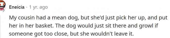 You have to be aware of your dog's personality and triggers.