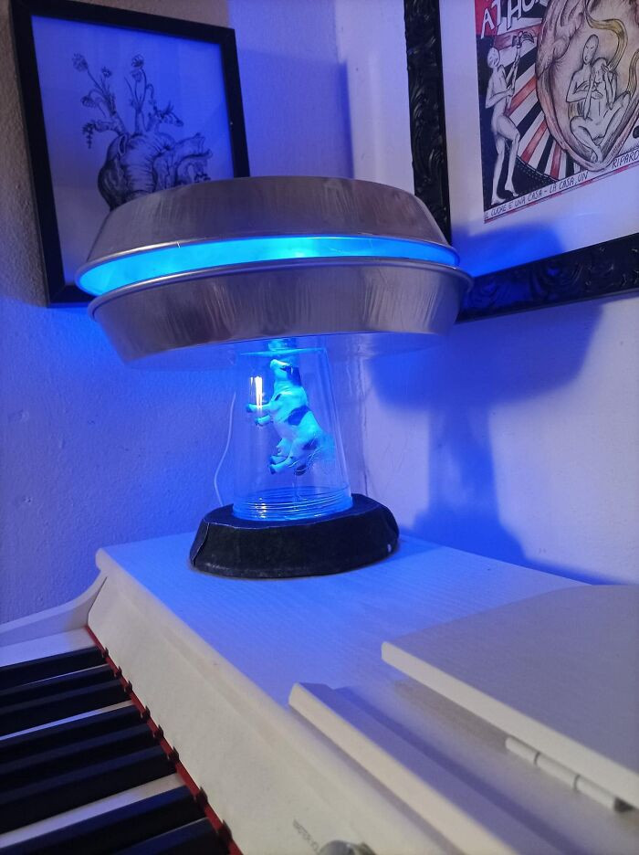 6. It’s the pie tins for me…