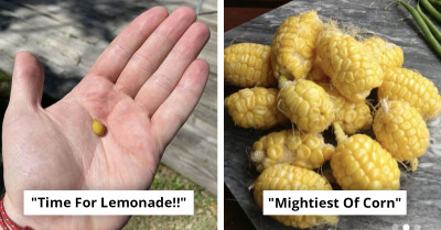 Your Plants Might Fail, but This Gardening Community Won’t Let You Quit