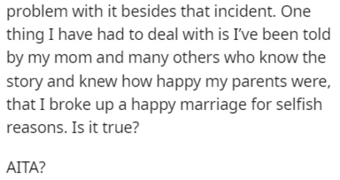 A Lot of People Accused OP of Breaking Up a Happy Marriage