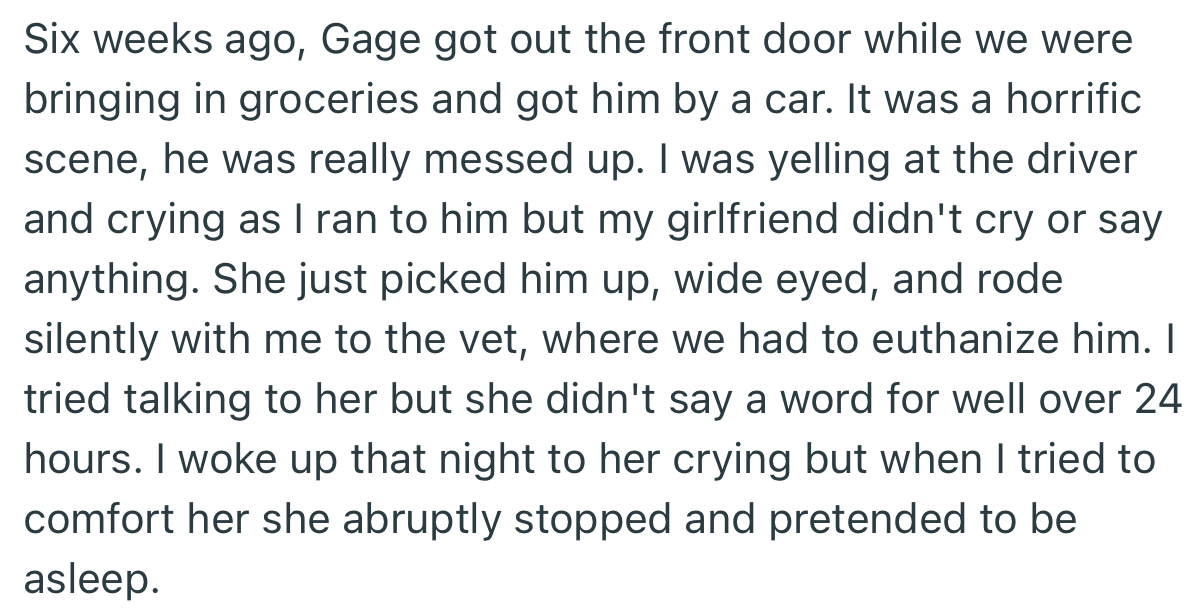 Unfortunately, Gage got hit by a car and had to be euthanized