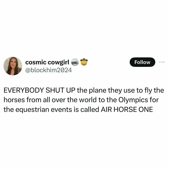 46. Air Horse 1