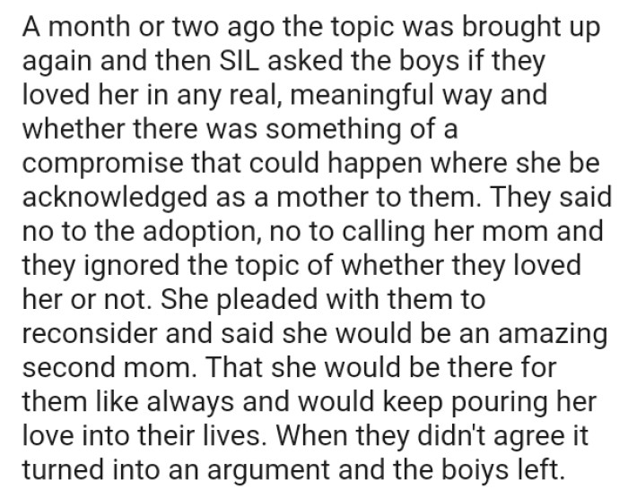 The sister-in-law pleaded with them to reconsider, saying she would be an amazing second mom