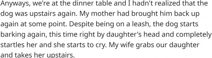 This led to an argument between OP and his parents, as they believed that the daughter should have to accommodate the dog rather than the other way around.