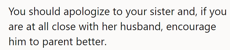 He should apologize to his sister and, if he's close with her husband, maybe drop a hint about upping his parenting game.