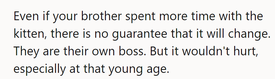 NTA. The kitten’s the boss; more time might help, but no guarantees.