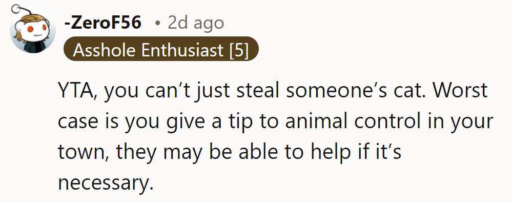 YTA—stealing a cat is not the answer. Best bet: tip animal control; they might help.
