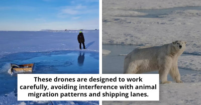 Arctic Refreezing Efforts Show Hopeful Signs Amid Scientists’ Warnings