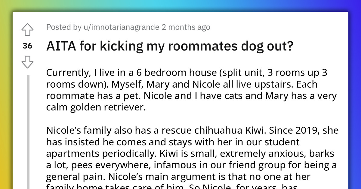 OP Is Torn Between Kicking Her Roommate's Dog Out Of Their House And Letting It Stay And Be Neglected