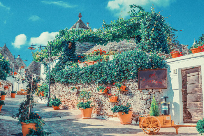 2. A beautiful environment