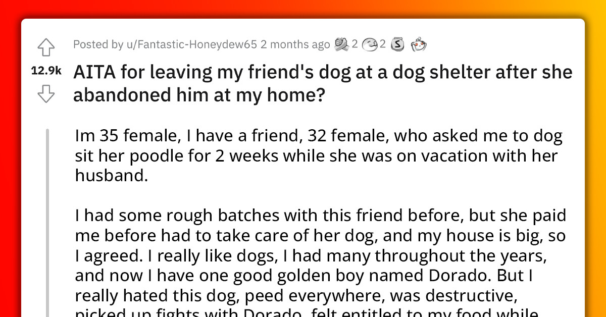 Redditor Leaves Dog She Was Petsitting At Shelter Because Owners Were One Month Late To Pick It Up, Gets Threatened With Lawsuit