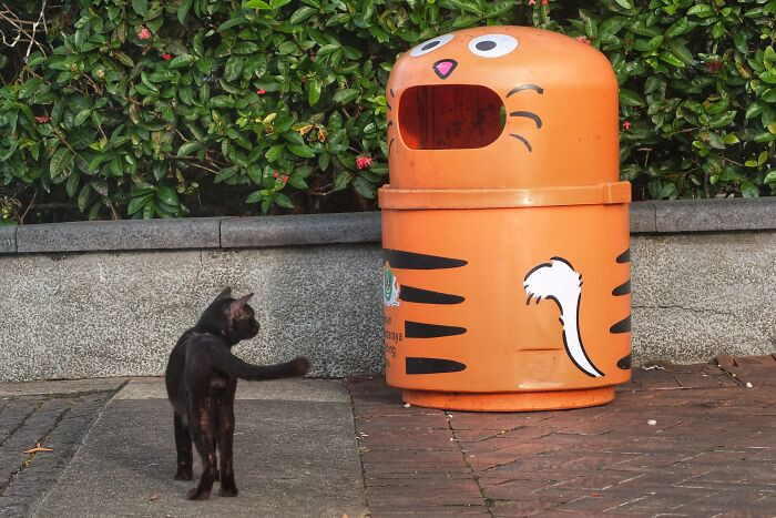 Waterfront Kuching, Sarawak, Malaysia