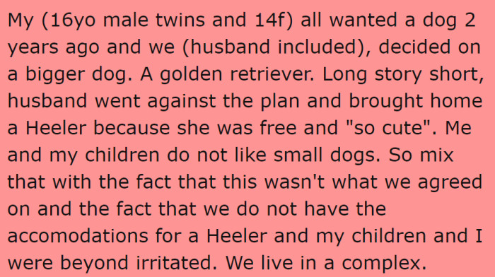 All family members wanted a Golden Retriever, but the original poster's (OP's) husband got a Heeler instead.