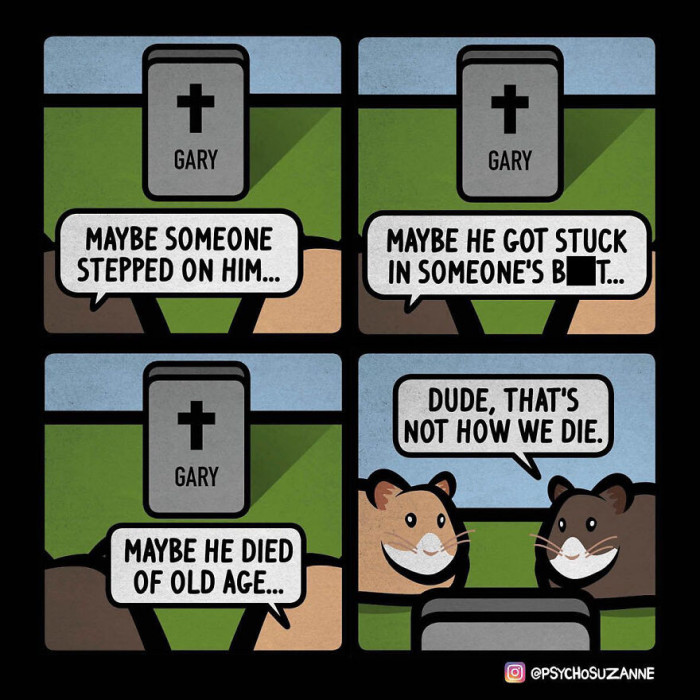 27. Wait, are you telling me my hamster from 3rd grade didn’t die of old age?