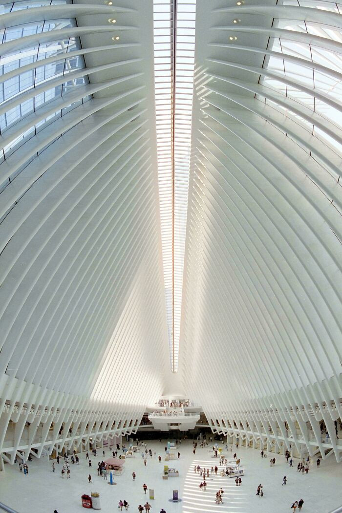 "Oculus, NYC"