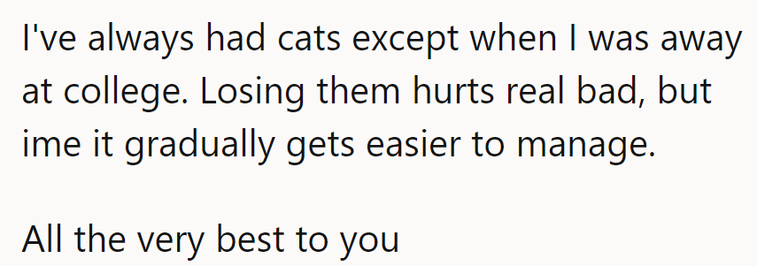 Losing Cats Stings Initially, but with Time, the Pain Eases.