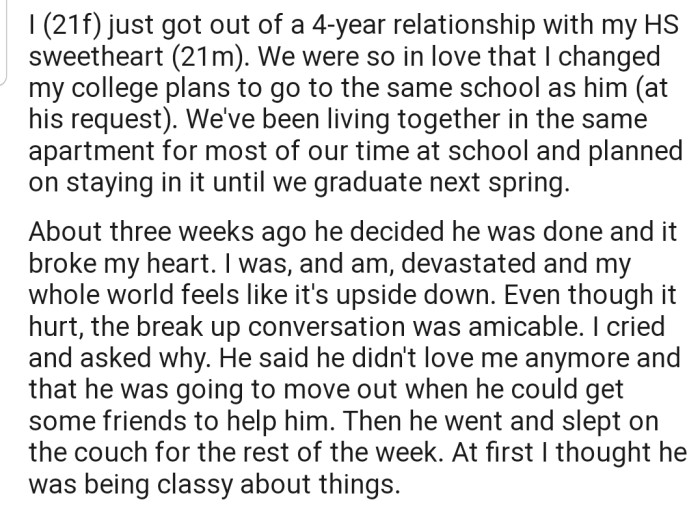 OP just got out of a relationship with her high school sweetheart, and she has been devastated ever since