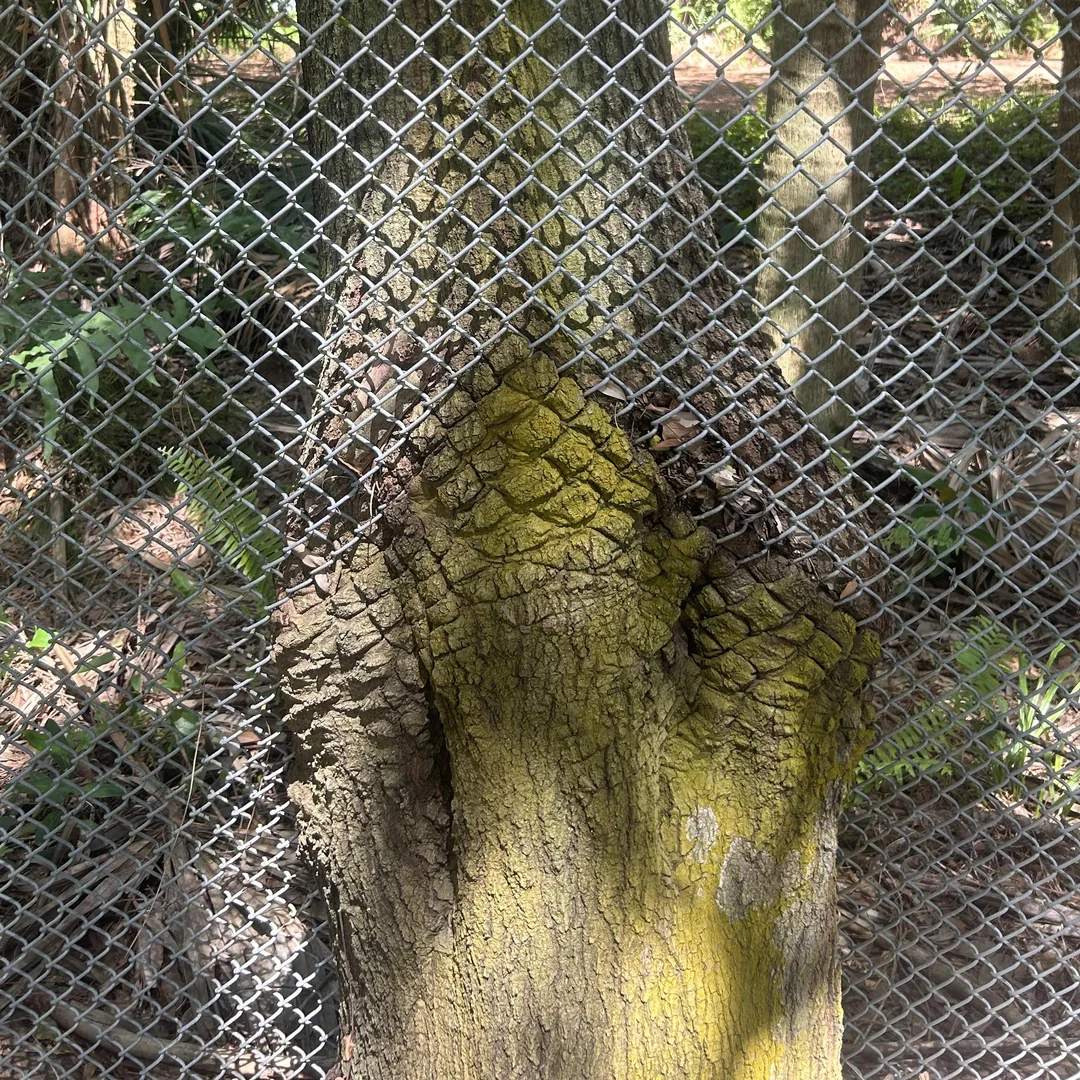 11. “Save some of that delicious fence for the rest of us!”