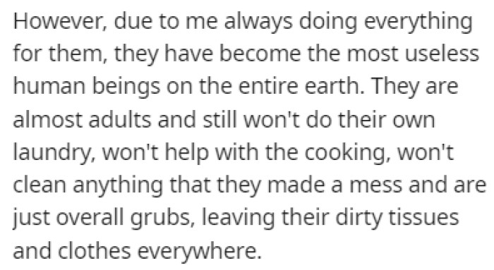 OP was always the only one doing any chores around the house, and now the brothers don't have any skills